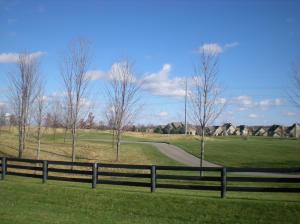 8069 Millway Loop, Powell, OH 43065 photo 22