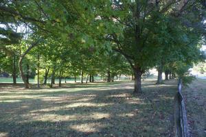 3475 Elder Rd NE, Lancaster, OH 43130 photo 5