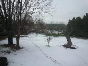 107 3rd St, Edison, OH 43320 photo 3