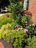 60 Timberknoll Loop, Powell, OH 43065 photo 52