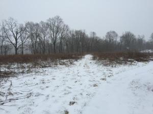 6301 Refugee Rd SW, Pataskala, OH 43062 photo 45