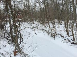 6301 Refugee Rd SW, Pataskala, OH 43062 photo 47