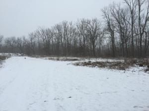 6301 Refugee Rd SW, Pataskala, OH 43062 photo 41