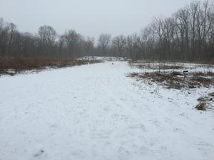 6301 Refugee Rd SW, Pataskala, OH 43062 photo 38
