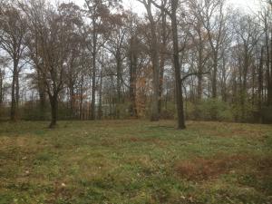 3263 E Pitchen Rd, Springfield, OH 45502 photo 4