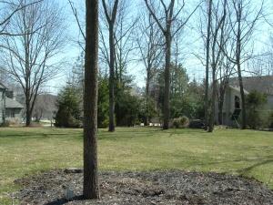 4769 Macallan Ct E, Dublin, OH 43017 photo 41