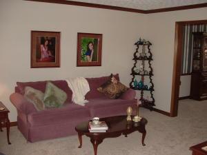 4769 Macallan Ct E, Dublin, OH 43017 photo 7