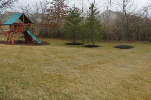 8959 Shaffer Dr, Powell, OH 43065 photo 37