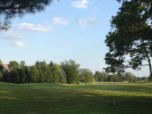 6455 Deeside Dr, Dublin, OH 43017 photo 49