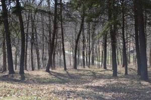 21360 Griffith Rd, Logan, OH 43138 photo 6