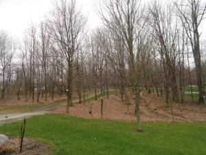 6230 Coonpath Rd, Carroll, OH 43112 photo 25