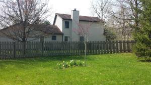  106 E Muskingum Dr, Powell, OH 43065 photo 12