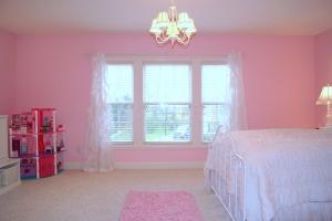 6442 Red Stone Loop, Dublin, OH 43016 photo 22