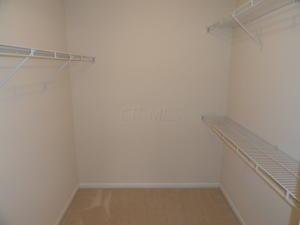 3336 Timberside Dr, Powell, OH 43065 photo 24