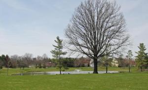 2566 Ashcroft Loop, Blacklick, OH 43004 photo 51