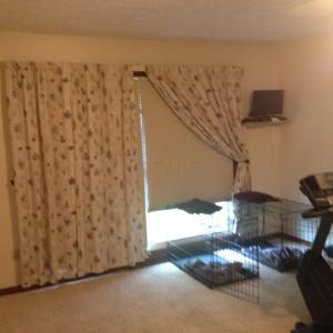 2107 Sumac Loop N, Columbus, OH 43229 photo 17