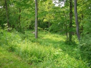 10073 Webb Rd, Logan, OH 43138 photo 5