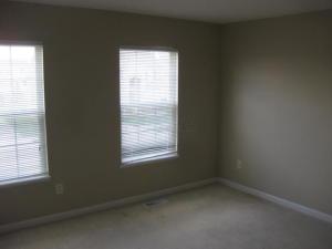 7233 Springview Ln, Dublin, OH 43016 photo 21