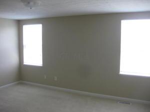 7233 Springview Ln, Dublin, OH 43016 photo 14