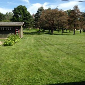 6344 Duffy Rd, Delaware, OH 43015 photo 8