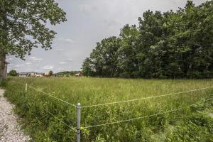 3361 Panhandle Rd, Delaware, OH 43015 photo 41