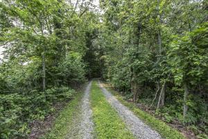 3361 Panhandle Rd, Delaware, OH 43015 photo 42