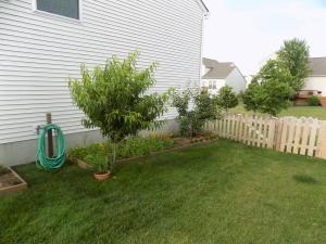 121 Reader Ct, Pataskala, OH 43062 photo 34