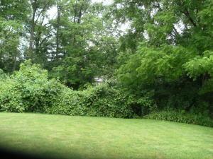 243 Clark Dr, Circleville, OH 43113 photo 6