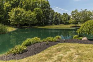 8111 Dellinger Rd, Galloway, OH 43119 photo 70
