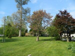930 Circle Dr, Circleville, OH 43113 photo 9