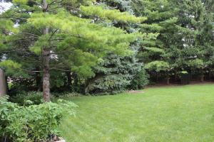 5656 Keating Dr, Dublin, OH 43016 photo 28