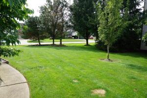 13193 Brandon Cir, Pickerington, OH 43147 photo 38