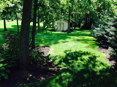 36 E Scioto Dr, Powell, OH 43065 photo 31