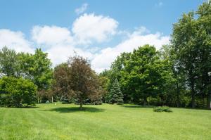 3421 Centerville Newmans Rd, Prospect, OH 43342 photo 33