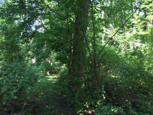 3338 Blacks Rd SW, Hebron, OH 43025 photo 7