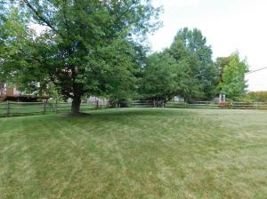 8695 Ripton Dr, Powell, OH 43065 photo 5