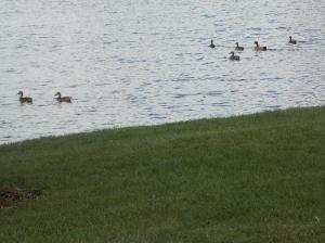 12174 Park Rd, Orient, OH 43146 photo 7