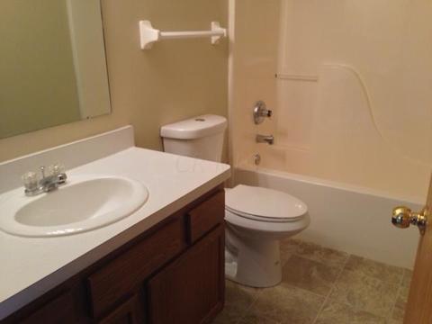 480 Applegate Ln, Delaware, OH 43015 photo 19