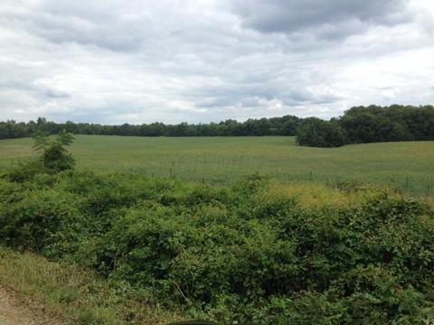 12420 Middlefork Rd, Amanda, OH 43102 photo 2