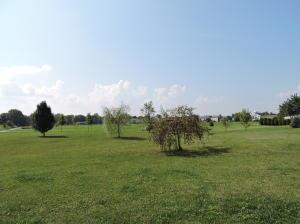 190 Harvard Loop, Delaware, OH 43015 photo 24