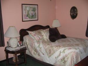 5271 Pheasant Dr, Orient, OH 43146 photo 25