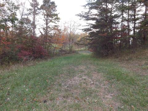 9175 Walnut Dowler Rd, Logan, OH 43138 photo 8