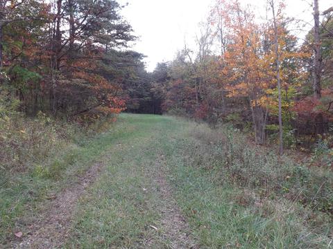 9175 Walnut Dowler Rd, Logan, OH 43138 photo 3
