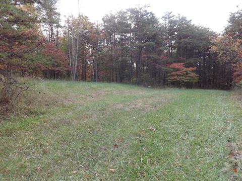 9175 Walnut Dowler Rd, Logan, OH 43138 photo 5