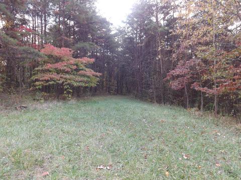 9175 Walnut Dowler Rd, Logan, OH 43138 photo 7