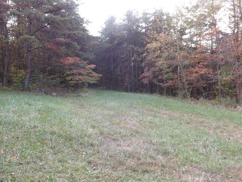 9175 Walnut Dowler Rd, Logan, OH 43138 photo 6