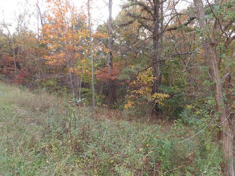 9175 Walnut Dowler Rd, Logan, OH 43138 photo 4