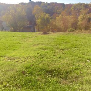 175 Thresher Ave, Corning, OH 43730 photo 10