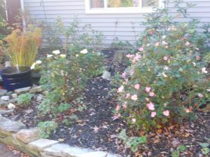 2400 Brigham Dr, Dublin, OH 43016 photo 8
