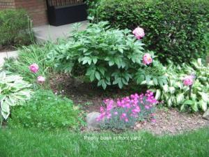 6972 Wethersfield Pl, Worthington, OH 43085 photo 36